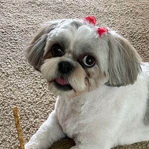 THANKS FOR VISITING!!!